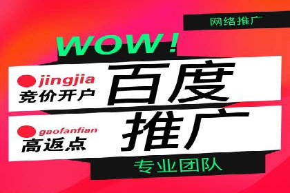 百度推广公司案例解读：如何实现低成本高回报